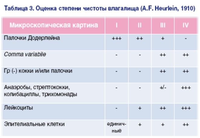 Мазок на флору: норма, расшифровка, таблица