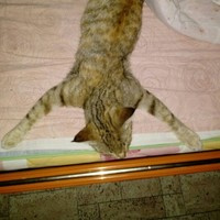 Татьяна
