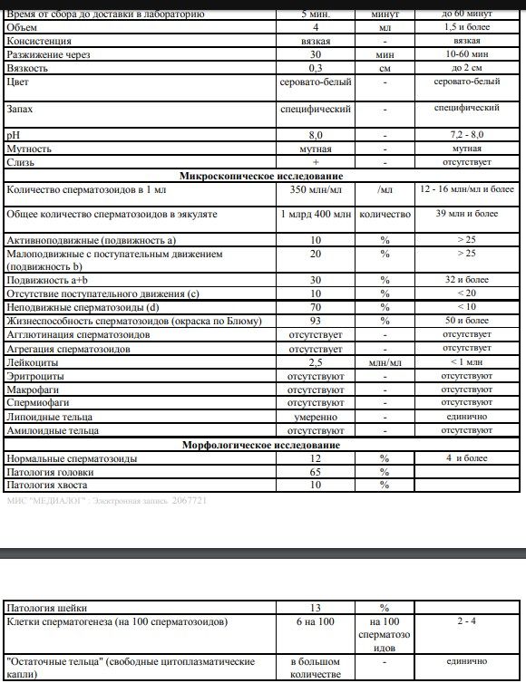 Расшифровка спермограммы: показатели нормы и отклонений