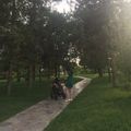 Ксения