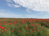 Смотрите, какая красота 😍