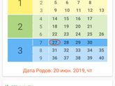 Ну что финишная прямая🌸😁Привет 3 триместр💓