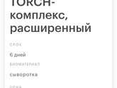 Torch анализ