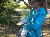 Утренние прогулки