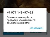 Найден кот