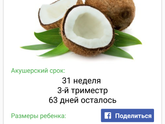 31 неделя