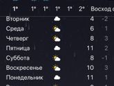 Одежда
