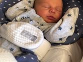 Эргономичный кокон для новорождённых Red Castle “Cocoonababy”
