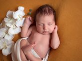 ФОТОГРАФ НОВОРОЖДЕННЫХ В РЯЗАНИ