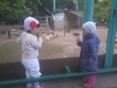 Очень нужны Ваши комменты и мнения