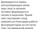 20 недель позади