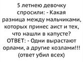Веселой ночки?