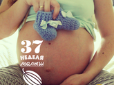 37 неделек