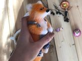 Апрель был очень несерьезным