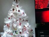🌨️🎄😻