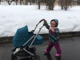 Наша колясочка UppaBaby Minu