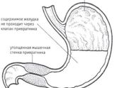 НАШИ НОВОСТИ. 3 ЧАСТЬ.