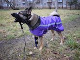 На конкурс _ всякие разности ручной работы)