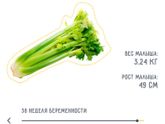 37 недель