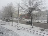 Погода сегодня у нас.