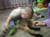 Животные и дети