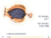 Приложенька