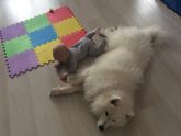 Следующий пункт развития...