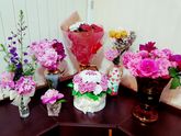 Моя мини цветочная галерея ??????????⚘?☘