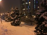 Зимняя сказка! ☃️❄️