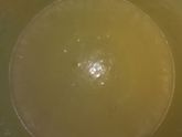 КЛАССИЧЕСКАЯ ШАРЛОТКА НА ПРОСТОКВАШЕ