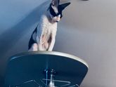 Мое стандартное состояние 24/7
