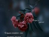 Фотография 2019-03-07 23:52:59