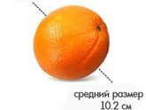 15 неделек
