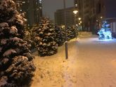 Зимняя сказка! ☃️❄️