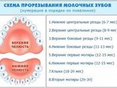 Вопрос про зубы