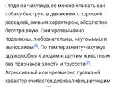 Собака 🐕