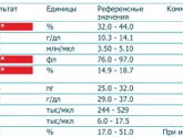 Девочки хелп