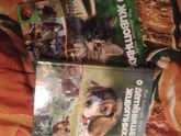 5 волшебных книг, которые...