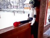 Просто похвастаться