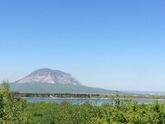 А мы на вегетарианских