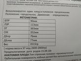 Финальное УЗИ