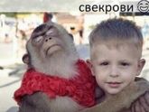 Наткнулся на вот такое фото в Инстаграме 😂