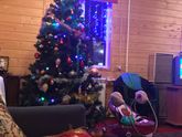 С наступающим Новым Годом🎄❄️🎄