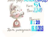 Создают метрики