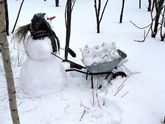 У каждого своя семья ?