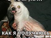 Фотосессия...
