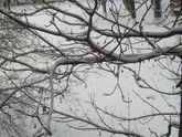 Открытие саночного сезона🌨️
