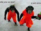 Суть женской натуры 😜