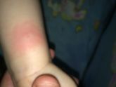 Подскажите на что похоже?