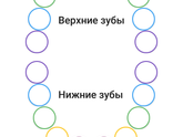 Зубы! Необычно)